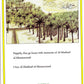 I Love al-Madinah al-Munawarah - Premium Book from IQRA' international Educational Foundation - Just $4! Shop now at IQRA Book Center | A Division of IQRA' international Educational Foundation